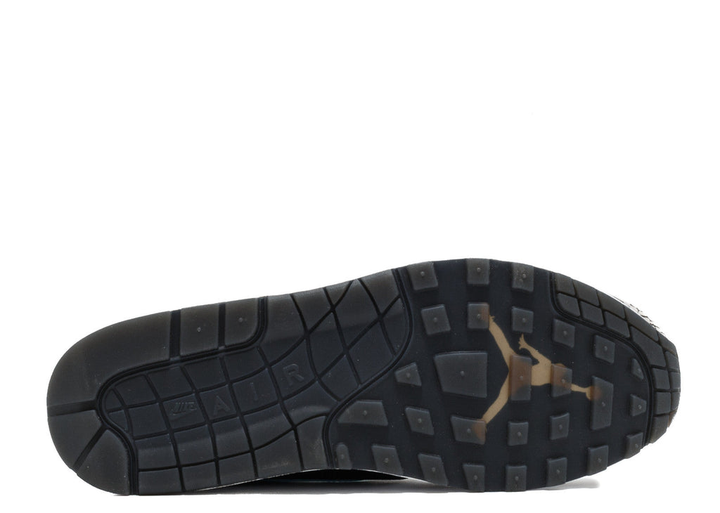 AIR JORDAN X MAX PACK "ATMOS PACK"